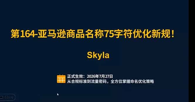 亚马逊跨境实战课:全品类选品逻辑|SP/SB/SD广告精细化|新品打爆旺季爆单全套运营教程