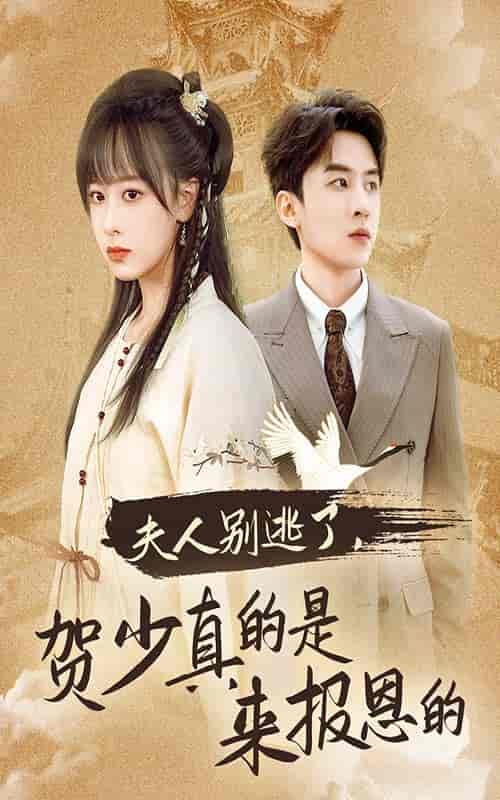 夫人别逃了贺少真的是来报恩的（63集全）-初遇资源网