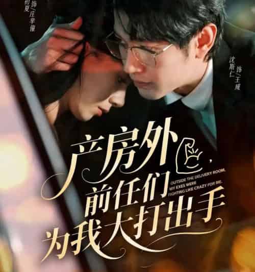产房外，前任们为我大打出手（79集全）王威＆庄芈僮-初遇资源网