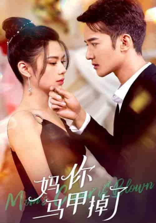 妈,你马甲掉了(88集全)程砚辞&汀婉-初遇资源网