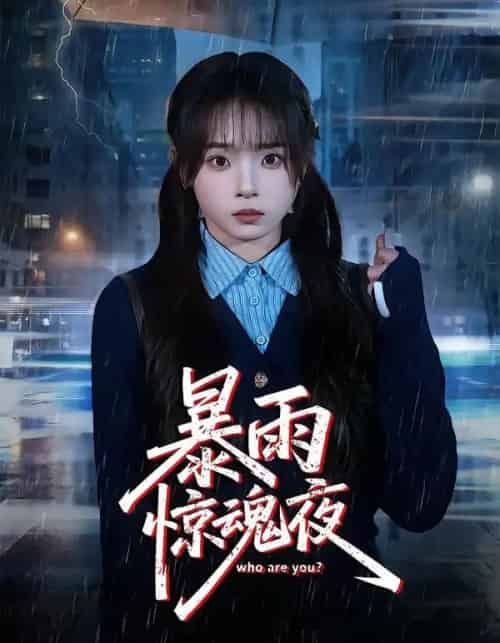 暴雨惊魂夜（49集全）陈舒宜＆咸俊旭-初遇资源网