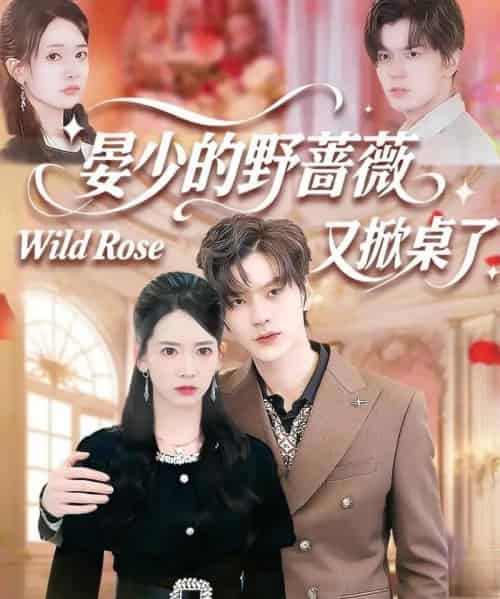 晏少的野蔷薇又掀桌了(120集全)张嘉松&刘姝妤-初遇资源网