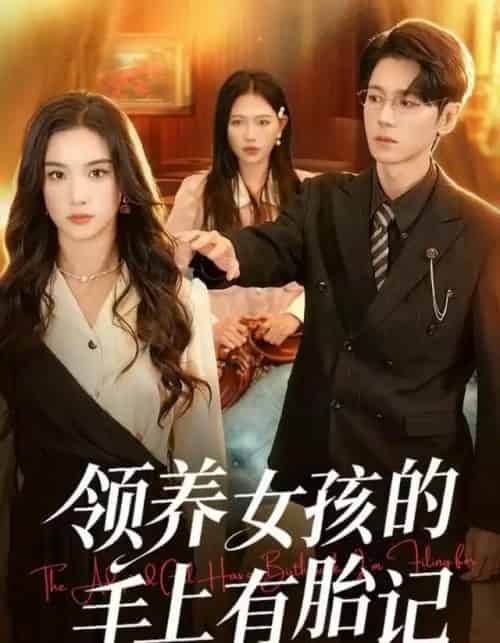 领养女孩的手上有胎记（60集全）王宇婧＆刘君尧-初遇资源网