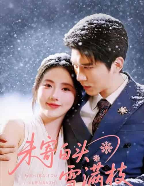 未寄白头雪满枝(61集全)金鑫欣&冯思源-初遇资源网