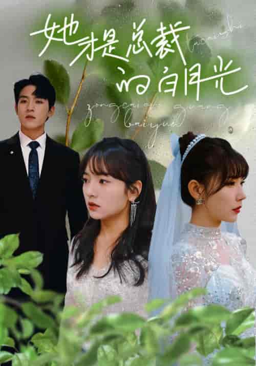 她才是总裁的白月光（90集）王子怡-初遇资源网