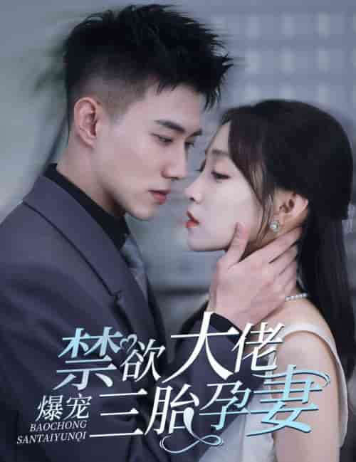 禁欲大佬爆宠三胎孕妻(60集全)黄文博-初遇资源网