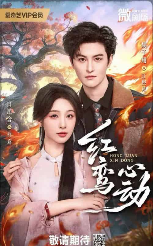 红鸾心动(60集全)白旭含 &W魏子翔-初遇资源网