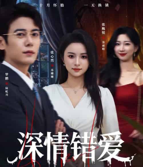 深情错爱＆鸠占鹊巢（45集全）罗鹏＆张心然-初遇资源网