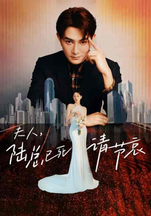 夫人，陆总已死请节哀（95集）-初遇资源网