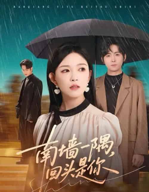 南墙一隅，回头是你（61集全）徐晨皓＆葛晓希-初遇资源网