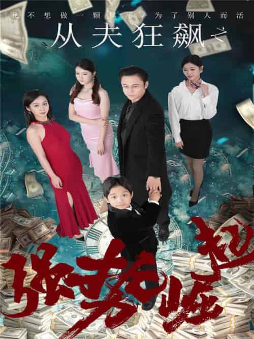 从夫狂飙之强势崛起（41集全）卢晓敏-初遇资源网