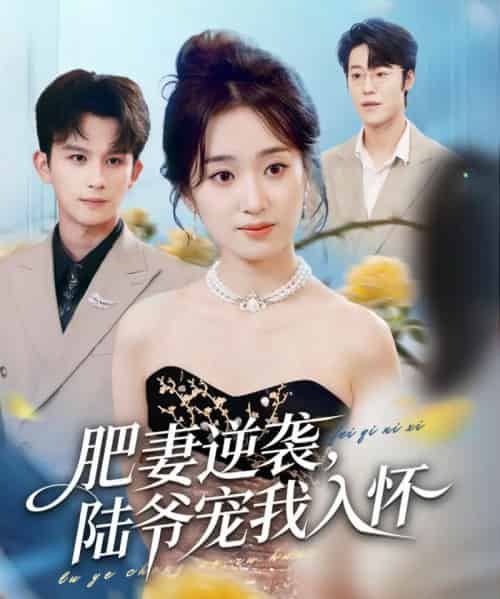 肥妻逆袭,陆爷宠我入怀(62集全)漆培鑫&史小叶-初遇资源网