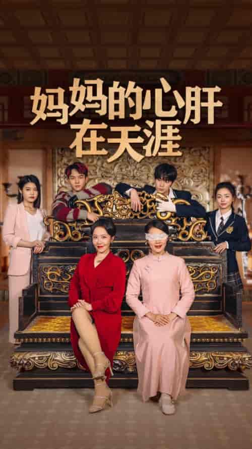 妈妈的心肝在天涯（妈妈的宝贝在天涯）（72集）-初遇资源网