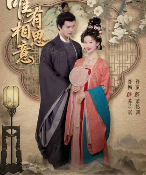 唯有相思意（100集全）舒畅＆舒童-初遇资源网