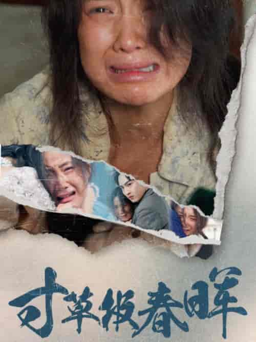 寸草报春晖(65集全)-初遇资源网