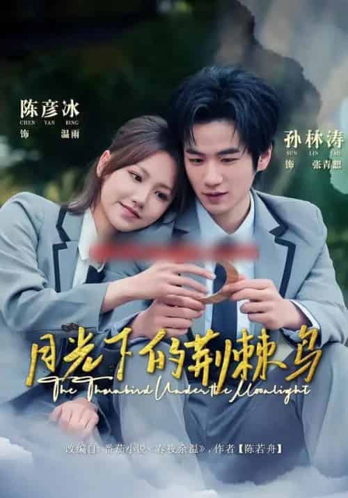 月光下的荆棘鸟（80集全）陈彦冰＆孙林涛-初遇资源网