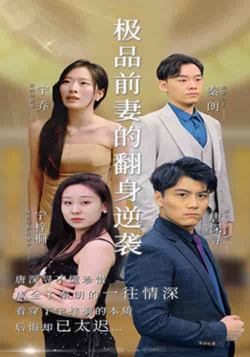 极品前妻的翻身逆袭（100集全）唐深寻＆宁乔-初遇资源网