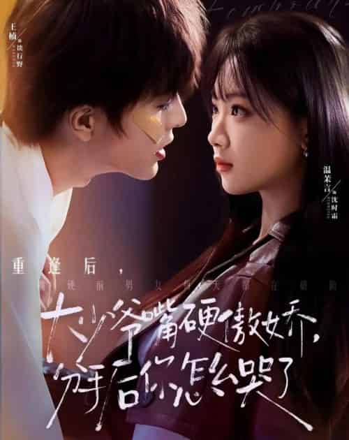 大少爷嘴硬傲娇,分手后你怎么哭了(80集全)王楠&温茉言-初遇资源网