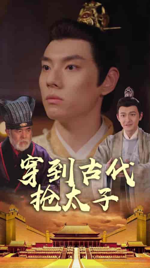 穿到古代抢太子(77集)-初遇资源网