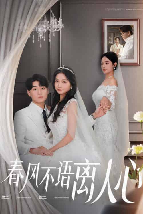 春风不语离人心（31集全）-初遇资源网