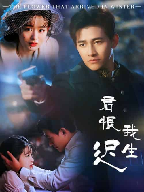 君恨我生迟＆司令府就是我的家（60集全）李子锋＆李紫一-初遇资源网