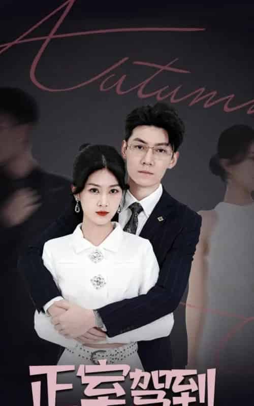 正室驾到（35集全）丁语乔＆陈泓龙-初遇资源网