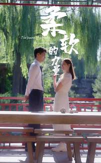 柔软的力量（80集全）-初遇资源网