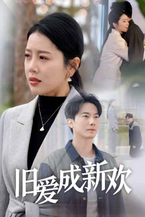 旧爱成新欢(30集全)丁海霞-初遇资源网