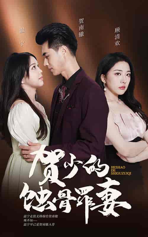 贺少的蚀骨罪妻(101集)-初遇资源网