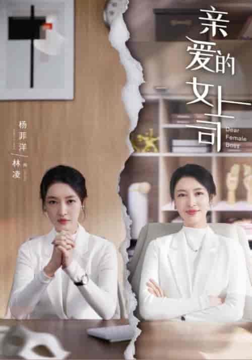 亲爱的女上司（30集全）小林＆林凌-初遇资源网