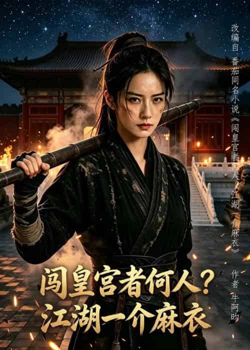 闯皇宫者何人?江湖一介麻衣(50集全)AI-初遇资源网