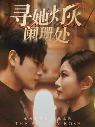 寻她灯火阑珊处（61集）-初遇资源网