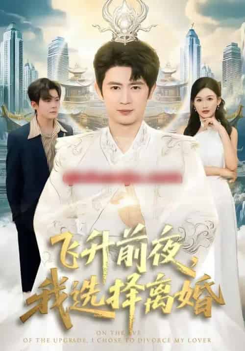 飞升前夜,我选择离婚(80集全)王昭&张颖洁-初遇资源网