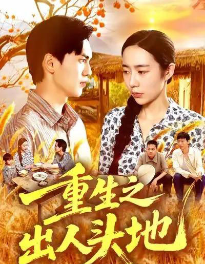 重生之出人头地(88集全)杨林涛&林准&王启航-初遇资源网