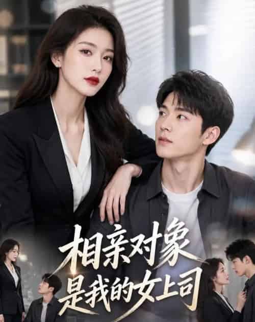 相亲对象是我的女上司(45集全)AI-初遇资源网