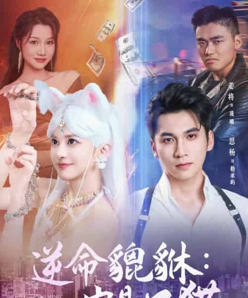 逆命貔貅它是只猫(35集)姜将-初遇资源网