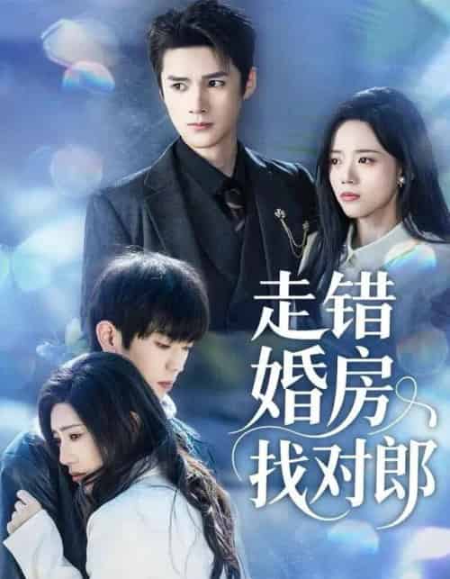 走错婚房找对郎（50集全）刘辰锐＆刘艺然-初遇资源网