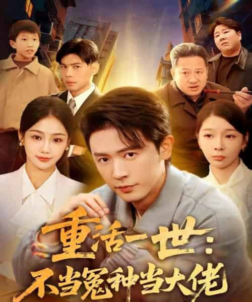重活一世:不当怨种当大佬(80集全)王昭&尹喜善-初遇资源网