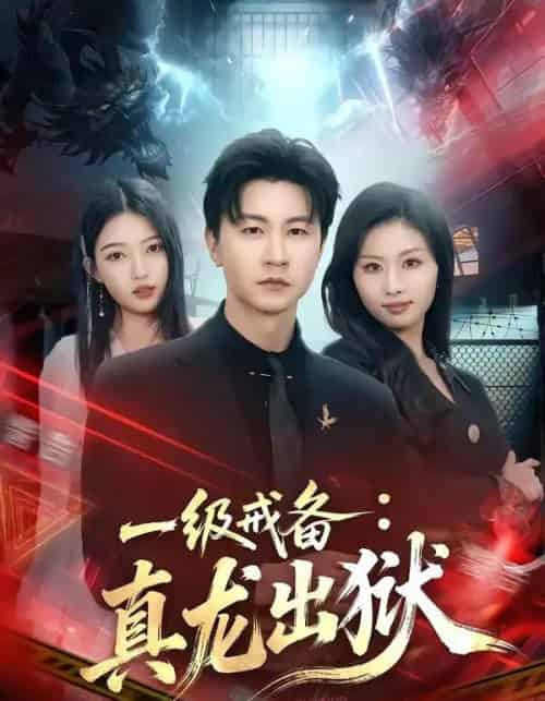 一级戒备：真龙出狱（73集全）王鹏＆千文 - 夸克短剧