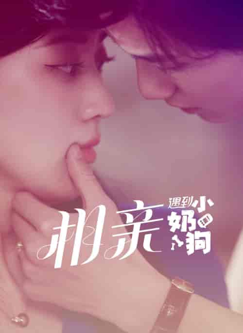 相亲遇到小奶狗（80集）-初遇资源网