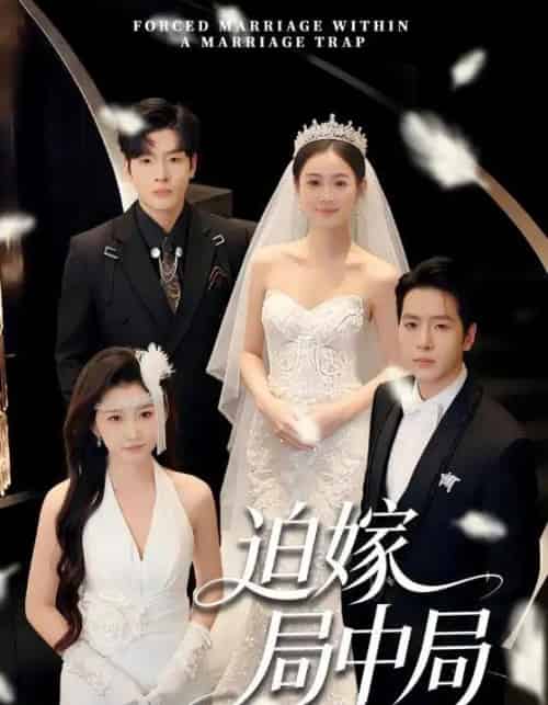 迫嫁局中局（70集全）刘云禹＆王雅妮-初遇资源网