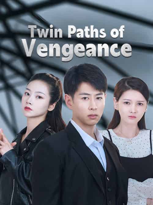 Twin Paths of Vengeance（87 episodes）-初遇资源网