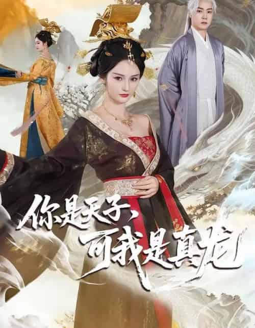 你是天子，可我是真龙（88集全）孙雪阳＆胡冬晴-初遇资源网
