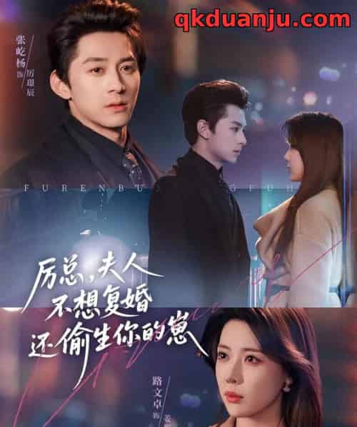 厉总，夫人不想复婚还偷生你的崽（80集全）张屹杨＆路文卓-初遇资源网