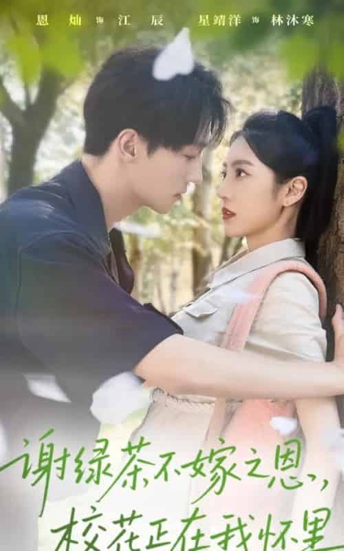 谢绿茶不嫁之恩校花正在我怀里（56集全）星靖洋＆恩灿-初遇资源网