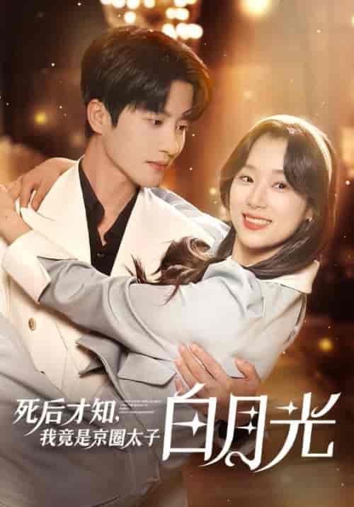 死后才知，我竟是京圈太子白月光（88集全）赵庭深＆沈熹微-初遇资源网