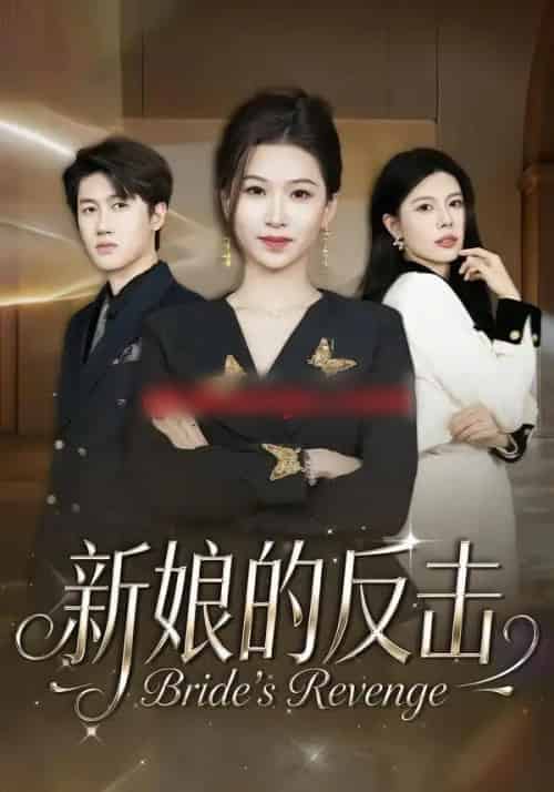 新娘的反击（40集全）魏钰珂＆李布-初遇资源网