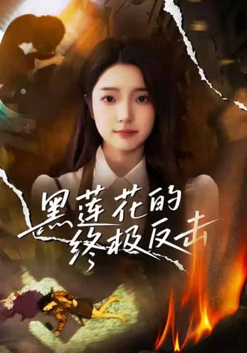 黑莲花的终极反击 黑莲花的终极反击