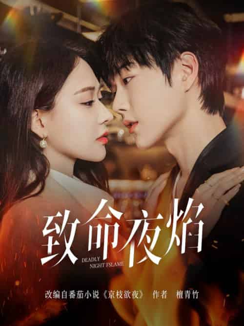 致命夜焰(80集全)王轩&何适-初遇资源网