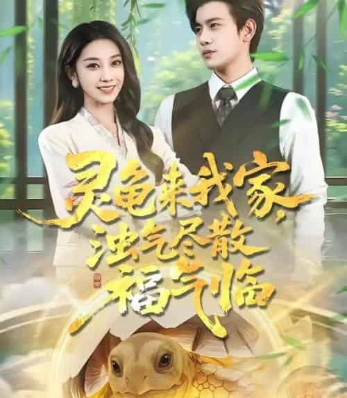 灵龟来我家，浊气尽散福气临（78集全）苏亮＆王安琪 - 夸克短剧